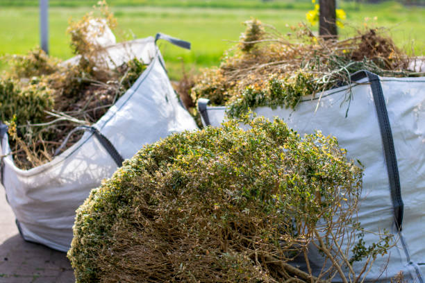 Demolition Debris Removal in Rio, VA